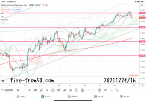 【Weekly】2021年12月20日週メキシコペソ円トレード