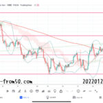 【Weekly】2022年1月24日週メキシコペソ円トレード