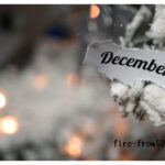 【Monthly】2021年12月メキシコペソ円トレード