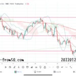 【Weekly】2022年1月17日週メキシコペソ円トレード