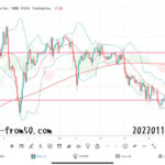 【Weekly】2022年1月10日週メキシコペソ円トレード