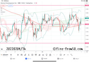【Weekly】2022年1月31日週メキシコペソ円トレード