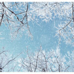 【Monthly】2022年2月メキシコペソ円トレード