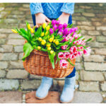 【Monthly】2022年4月メキシコペソ円トレード