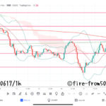 【Weekly】2022年6月13日週メキシコペソ円トレード
