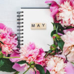 【Monthly】2022年5月メキシコペソ円トレード