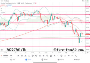 【Weekly】2022年6月27日週メキシコペソ円トレード