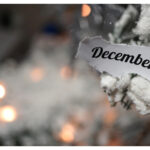 【Monthly】2022年12月メキシコペソ円トレード