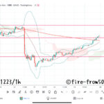  【Weekly】2022年12月19日週メキシコペソ円トレード