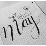 【Monthly】2023年5月メキシコペソ円トレード