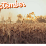 【Monthly】2023年9月メキシコペソ円トレード