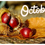 【Monthly】2023年10月メキシコペソ円トレード