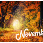 【Monthly】2023年11月メキシコペソ円トレード