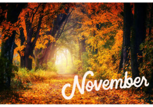 【Monthly】2023年11月メキシコペソ円トレード