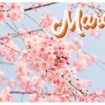 【Monthly】2024年3月メキシコペソ円トレード