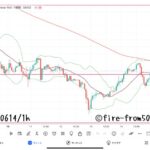 【Weekly】2024年6月10日週メキシコペソ円トレード
