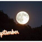 【Monthly】2024年9月メキシコペソ円トレード