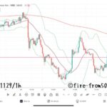  【Weekly】2024年11月25日週メキシコペソ円トレード