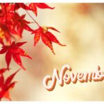 【Monthly】2024年11月メキシコペソ円トレード