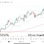 【Weekly】2024年12月9日週メキシコペソ円トレード