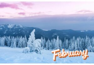 【Monthly】2025年2月メキシコペソ円トレード