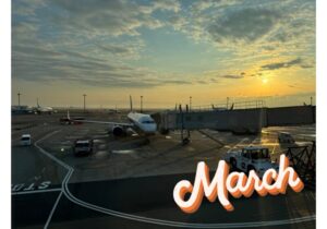 【Monthly】2025年3月メキシコペソ円トレード