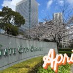 【Monthly】2025年4月メキシコペソ円トレード