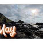 【Monthly】2025年5月メキシコペソ円トレード