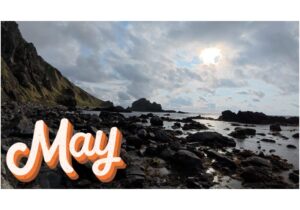 【Monthly】2025年5月メキシコペソ円トレード