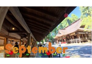 【Monthly】2025年9月メキシコペソ円トレード