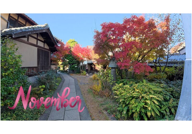 【Monthly】2025年11月メキシコペソ円トレード