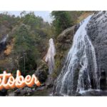 【Monthly】2025年10月メキシコペソ円トレード