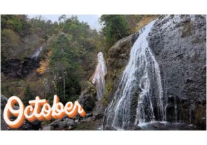 【Monthly】2025年10月メキシコペソ円トレード