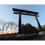 【Monthly】2025年12月メキシコペソ円トレード